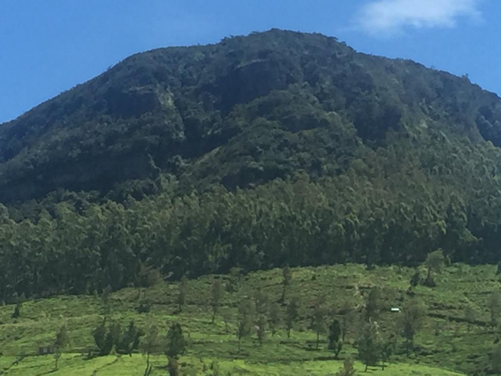Perera Homestay Nuwara Eliya Eksteriør billede
