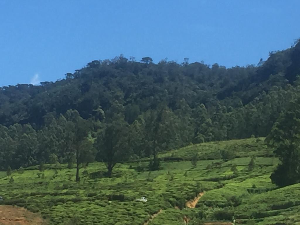 Perera Homestay Nuwara Eliya Eksteriør billede